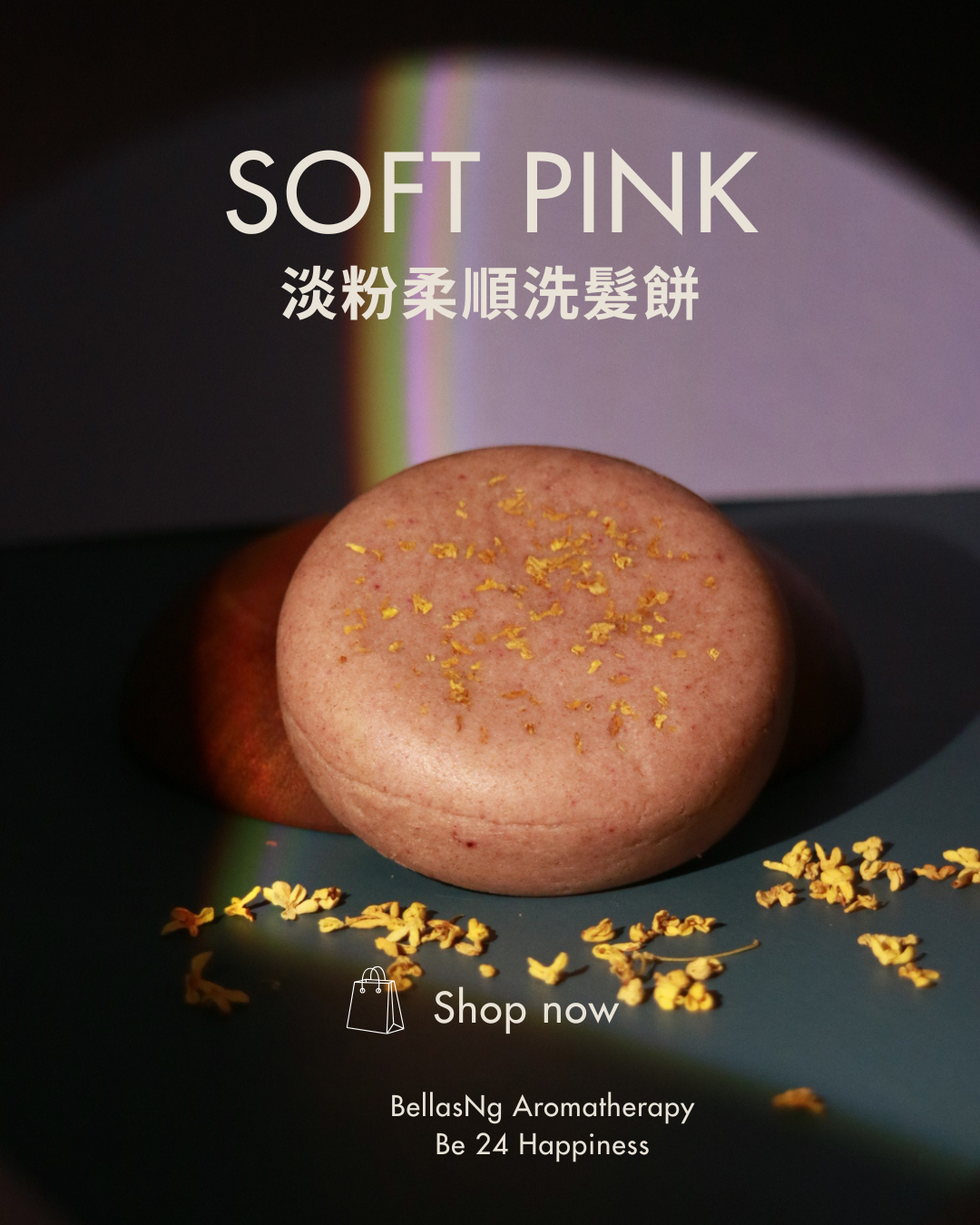 淡粉柔順洗髮餅 Soft Pink Shampoo Bar