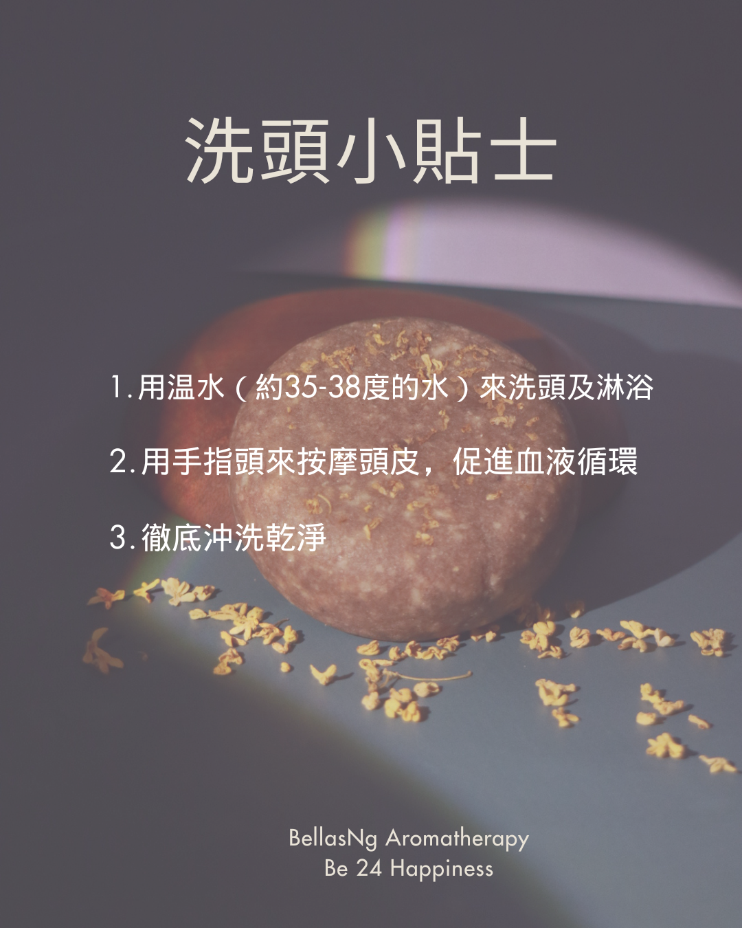 淡粉柔順洗髮餅 Soft Pink Shampoo Bar